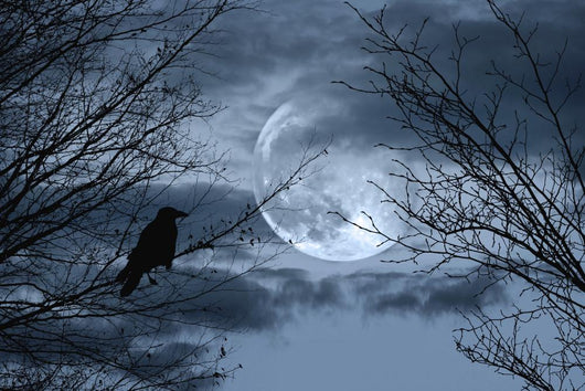 Halloween Background With Spooky Forest Wall Decal