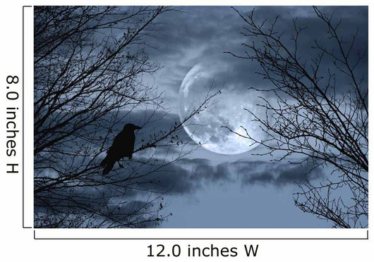 Halloween Background With Spooky Forest Wall Mural