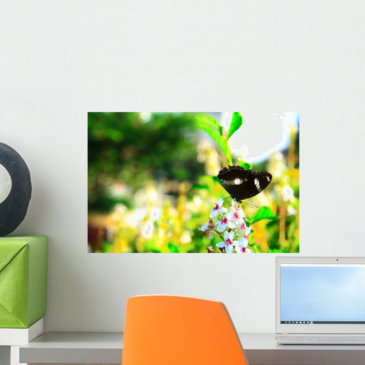 Life Butterfly Wall Decal