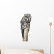 Owl Sitting Tree Wall Decal