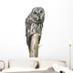 Owl Sitting Tree Wall Decal
