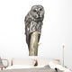 Owl Sitting Tree Wall Decal