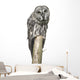 Owl Sitting Tree Wall Decal