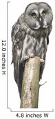 Owl Sitting Tree Wall Decal