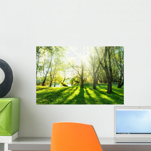 Summer Forest with Sun Wall Decal