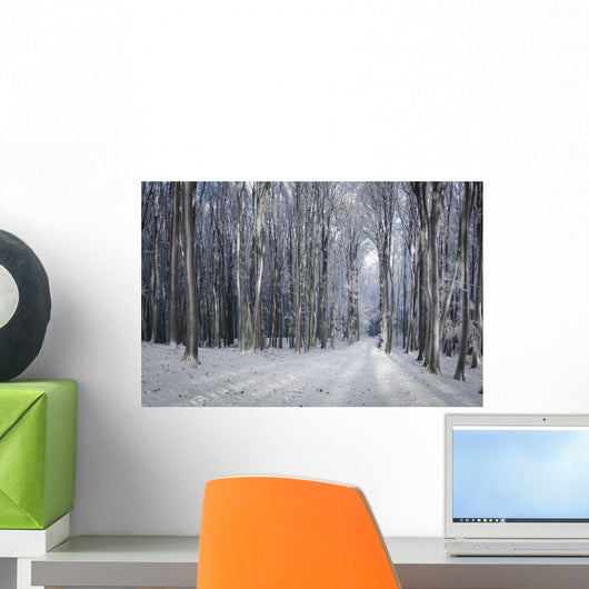 Dreamy Winter Forest with Wall Decal