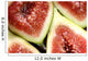 Figs Wall Decal