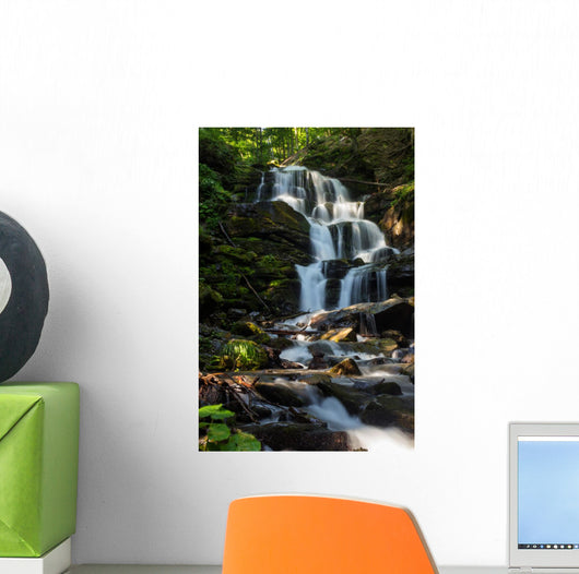 beautiful waterfall comes out of a huge rock in the forest Wall Mural