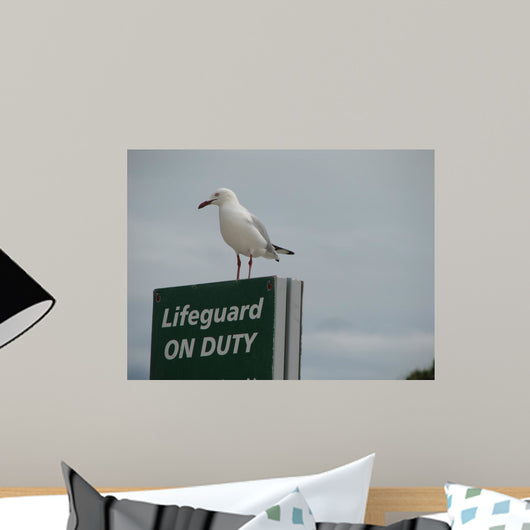 Careful Seagull Wall Decal