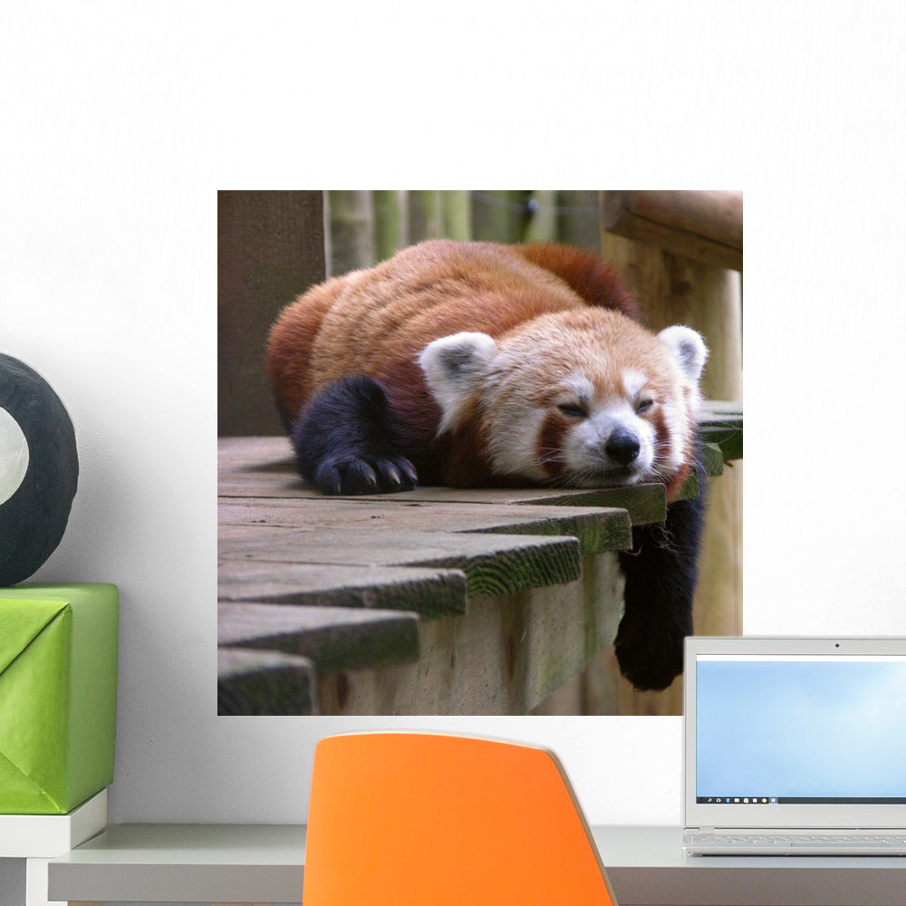 Red Panda Wall Decal Wallmonkeys