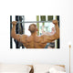 Back of Bodybuilder Raising Barbell in Gym Hall before Mirror Wall Mural