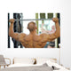 Back of Bodybuilder Raising Barbell in Gym Hall before Mirror Wall Mural