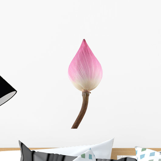 Water Lily Wall Decal