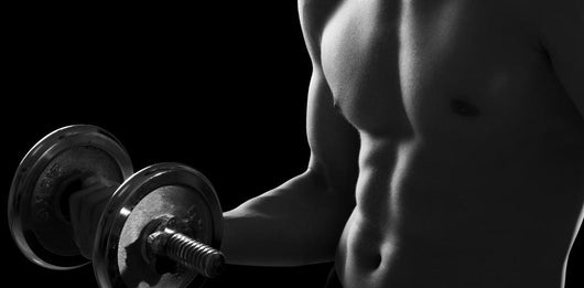 Bodybuilding Wall Decal