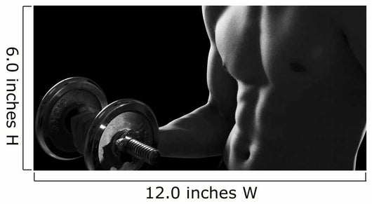 Bodybuilding Wall Mural