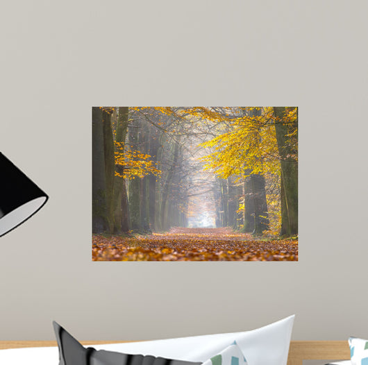 Yellow Foliage Birch Trees Wall Decal