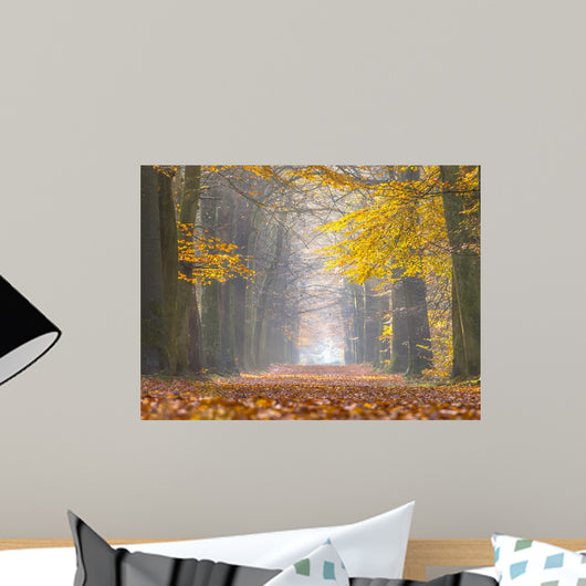 Yellow Foliage Birch Trees Wall Decal