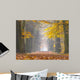 Yellow Foliage Birch Trees Wall Decal