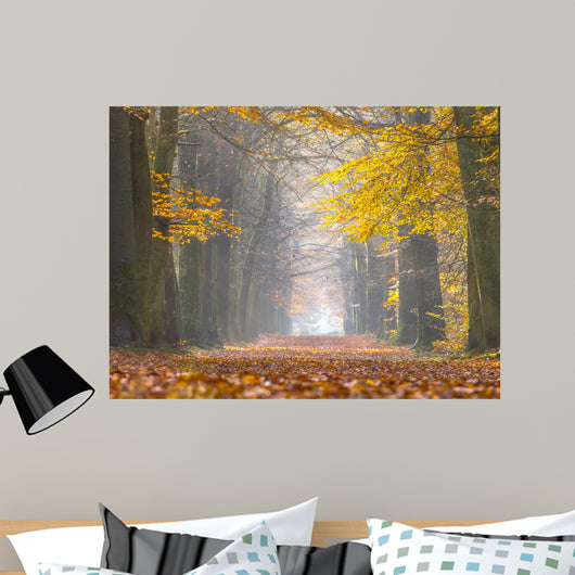 Yellow Foliage Birch Trees Wall Decal