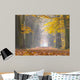 Yellow Foliage Birch Trees Wall Decal