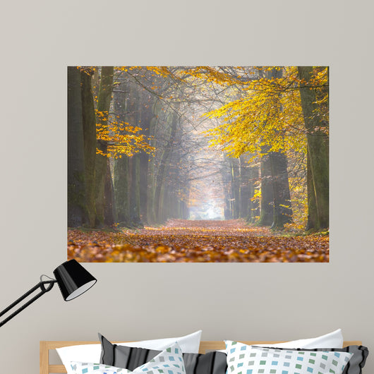 Yellow Foliage Birch Trees Wall Decal