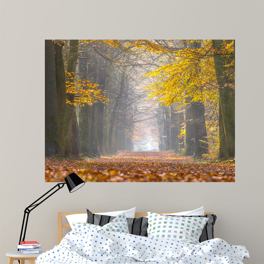 Yellow Foliage Birch Trees Wall Decal
