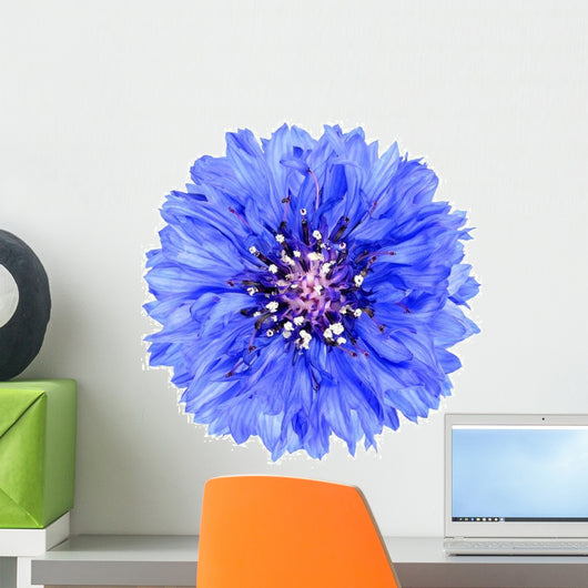 Blue Cornflower Flower Wall Decal