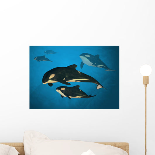 Orca Family Wall Mural
