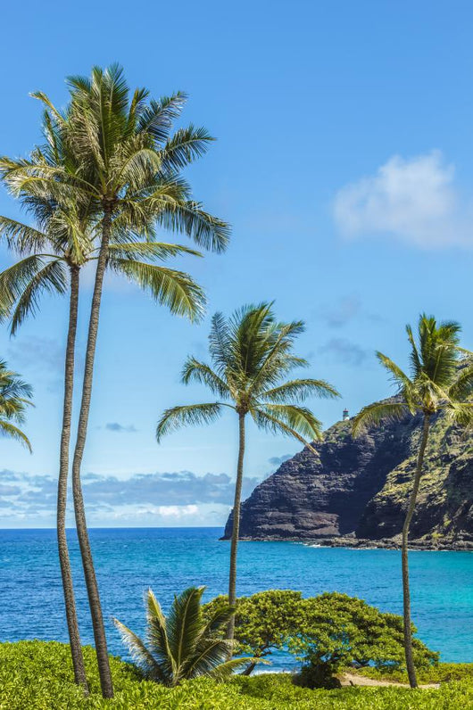 Makapuu Point Wall Decal