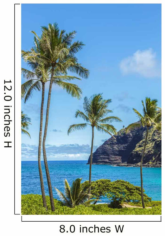 Makapuu Point Wall Decal