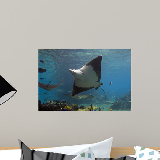 Eaglb Wall Decal