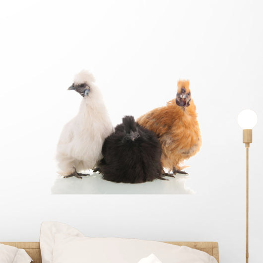 Silkie Chickens Wall Decal