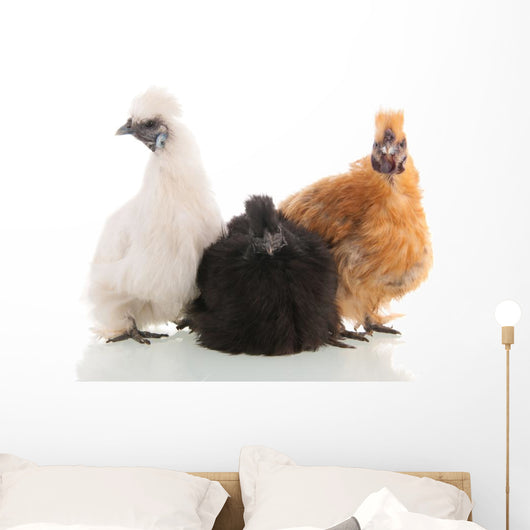 Silkie Chickens Wall Decal