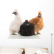 Silkie Chickens Wall Decal