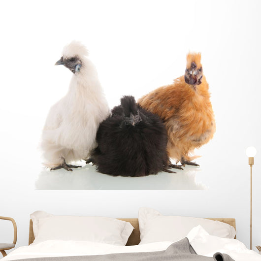 Silkie Chickens Wall Decal