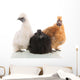 Silkie Chickens Wall Decal