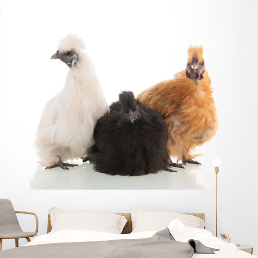 Silkie Chickens Wall Decal