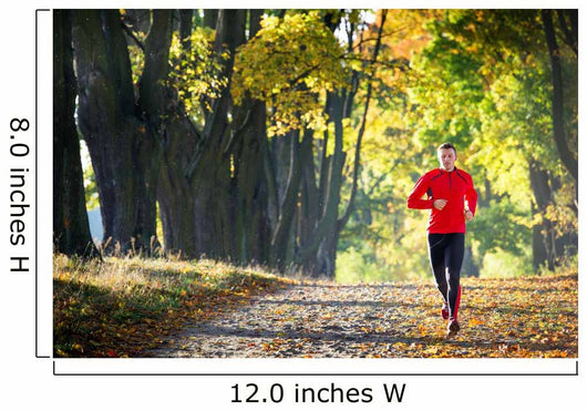 Running Wall Mural