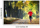Running Wall Mural