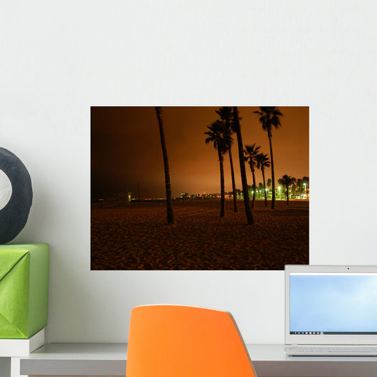 Venice Beach by Night Wall Mural