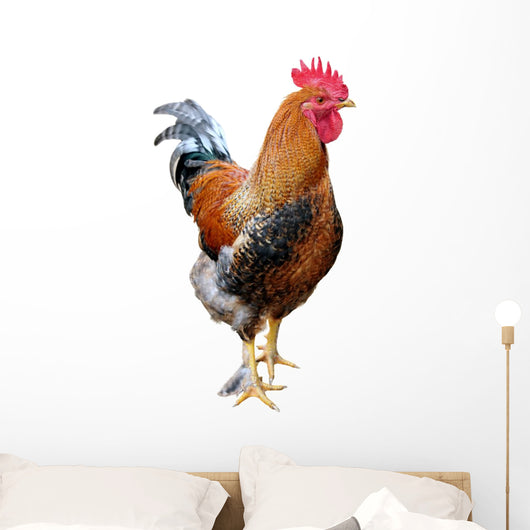 Rooster White Wall Decal