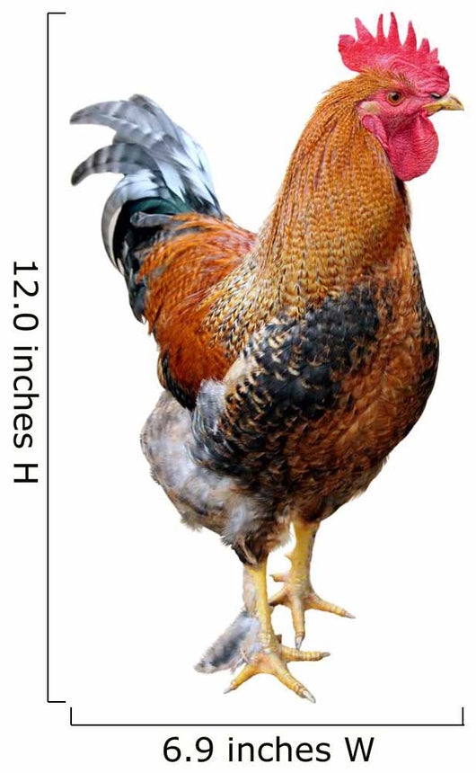 Rooster White Wall Decal