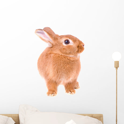 Rabbit Wall Decal