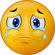 Sad Smiley Emoticon Wall Decal