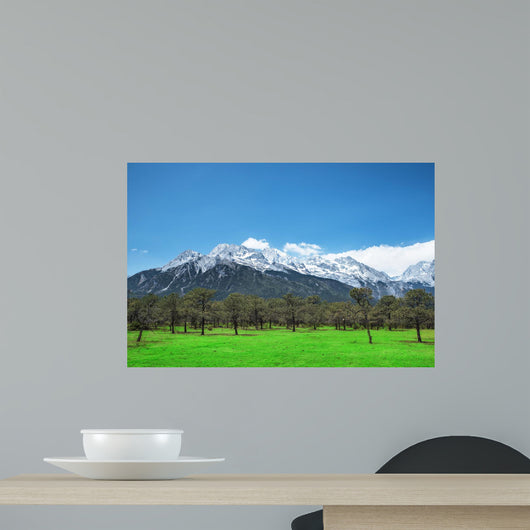 Pine Forest and Jade Wall Decal