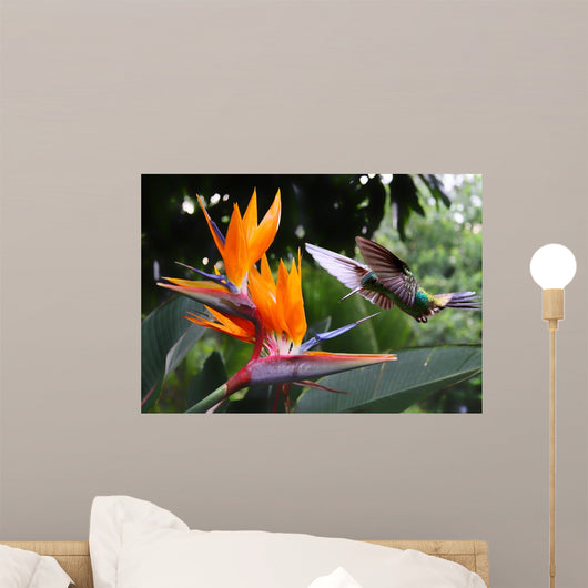 Flying Hummingbird Strelitzia Flower Wall Decal