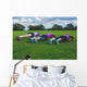 Three women doing push ups in park Wall Mural