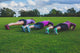 Three Women Doing Push Ups In Park Wall Decal
