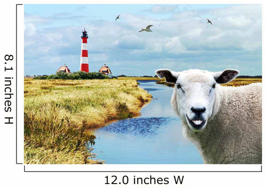 Freundliches Schaf Nordfriesland Wall Decal