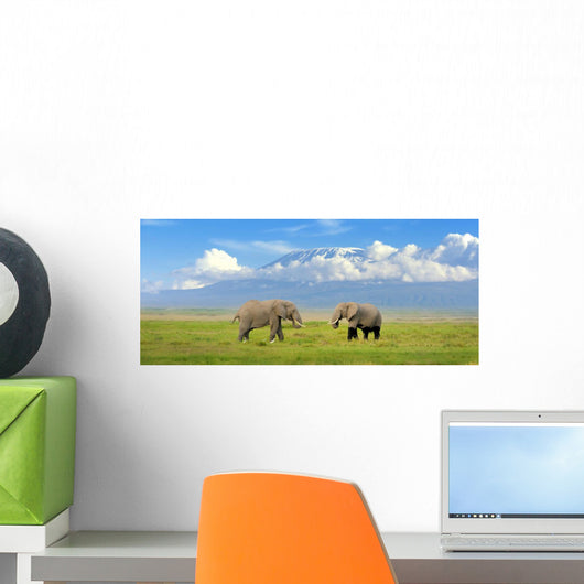 Elephant Wall Mural